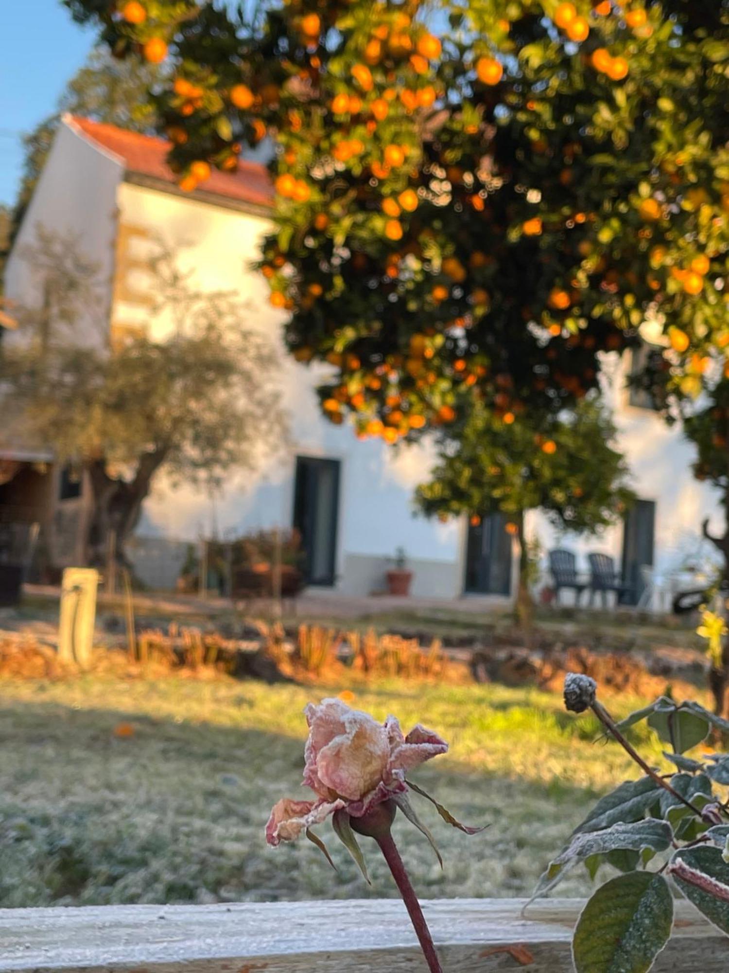 Casa Do Prado Hotel Tomar Exterior photo